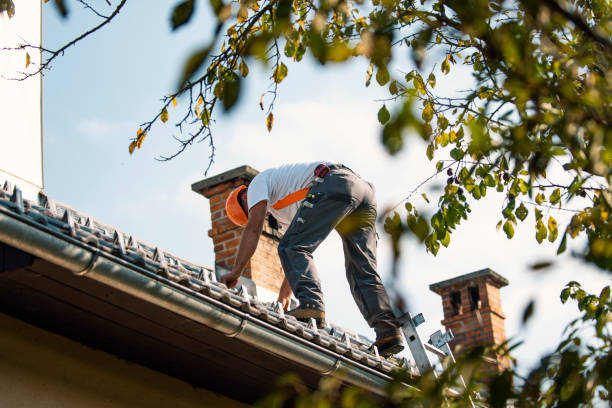 Best Chimney Flashing Repair  in Gloucester Courthouse, VA